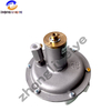 Giuliani GAVR Series Pressure Reducing Valve Combustion Engine Accessories