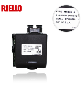 Riello TYPE MG557-5 program controller