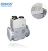 Dungs DMV-5125/11 Gas Solenoid Valve (250365)