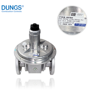 DUNGS FRS 505 12 MAX.500mbar Pressure Reducing Valve 70383