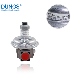 DUNGS FRNG 510 R1 Pressure Reducing Valve 220970