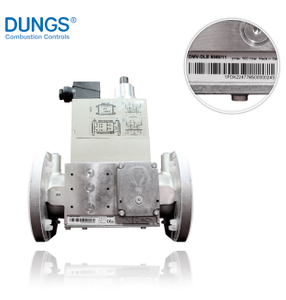 Dungs DMV-DLE-5050/11 Gas Solenoid Valve 