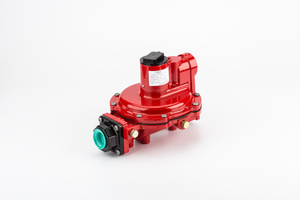 Factory supplied Fisher pressure reducing valve R622H-DGJ burner accessories