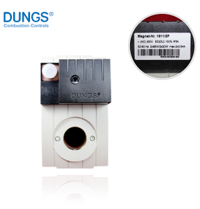 Dungs Nr.1511/2p (247869) Gas Solenoid Valve 