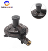 High-Flow Capacity Pressure Reducing Valve Liquefied Gas 