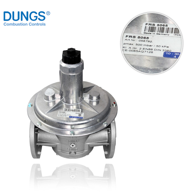 DUNGS FRS 5065 DN65 MAX.500mbar 58792 