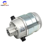 Riello G20 24V Motor (3003534) - The Choice of Outstanding Power